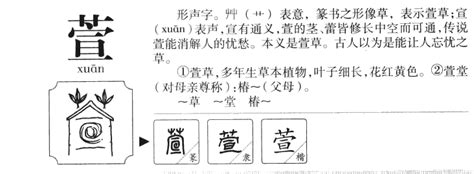 若萱 名字|若萱的女孩名字的含义及寓意